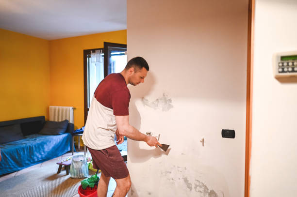 Best Commercial Mold Removal  in Park Hills, KY
